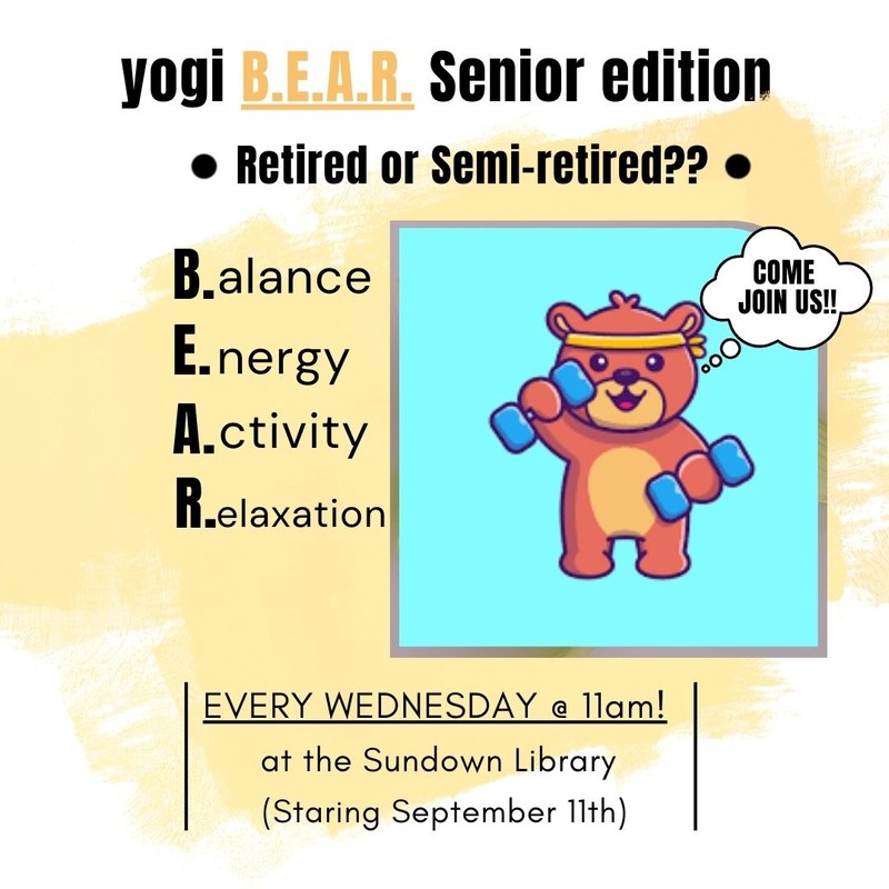 yogi BEAR Senior Edition.jpg